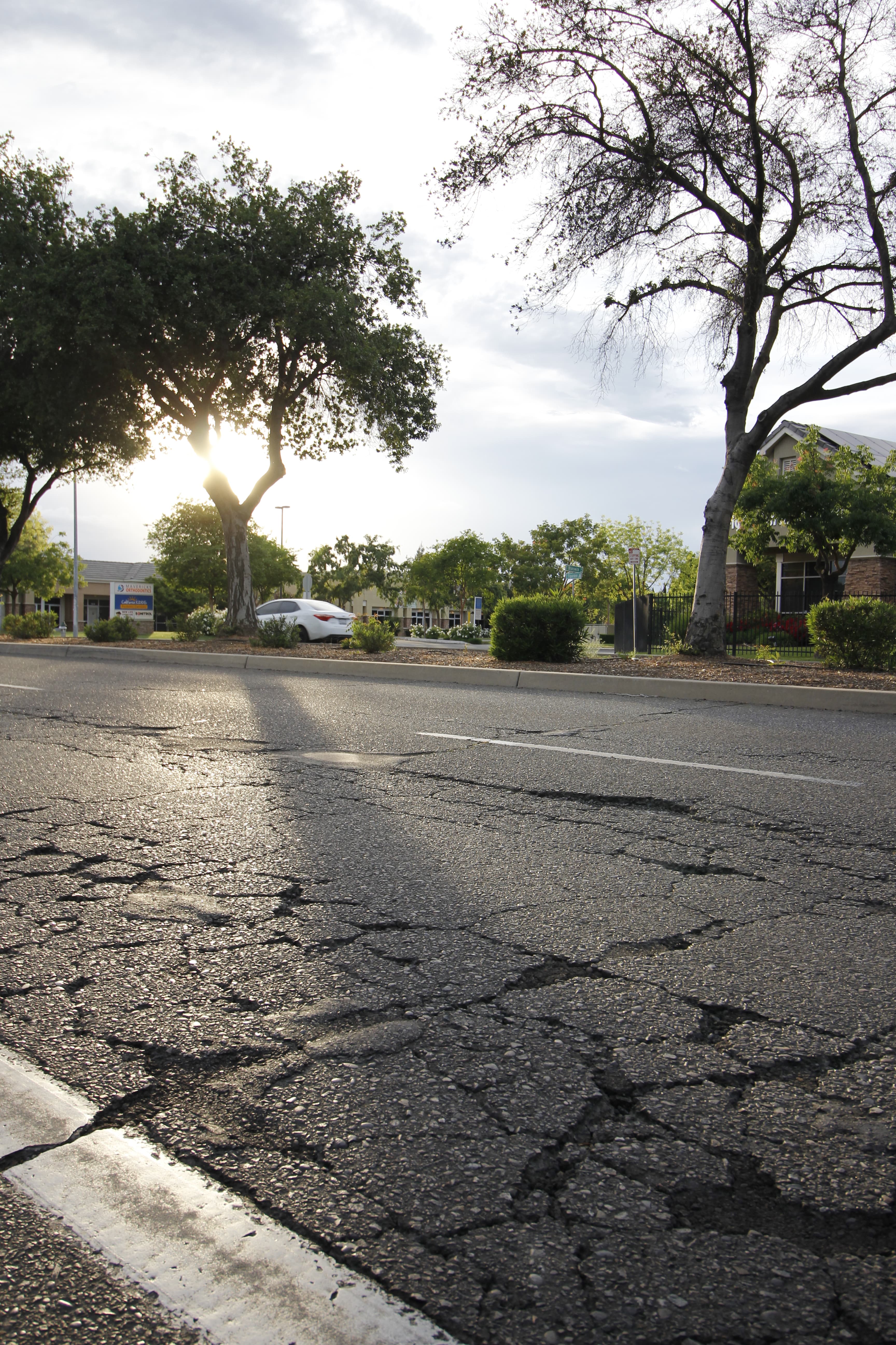 Pothole pot1